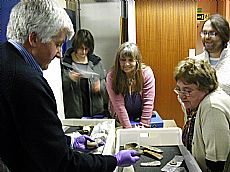 looking at finds at the National Museum of Scotland